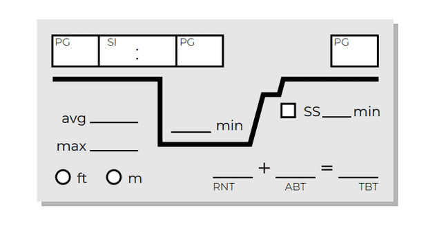 Keep track of the kind of dive profile you followed. Log entry of dive profile.