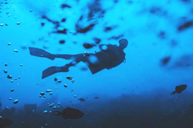 A relaxed diver underwater. Photo by Marvin Meyer on Unsplash. A relaxed diver underwater. Photo by Marvin Meyer on Unsplash